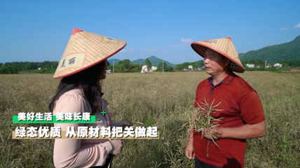 深山有嘉茗，一心出好茶｜這個(gè)夏天，長(zhǎng)康帶你去探秘